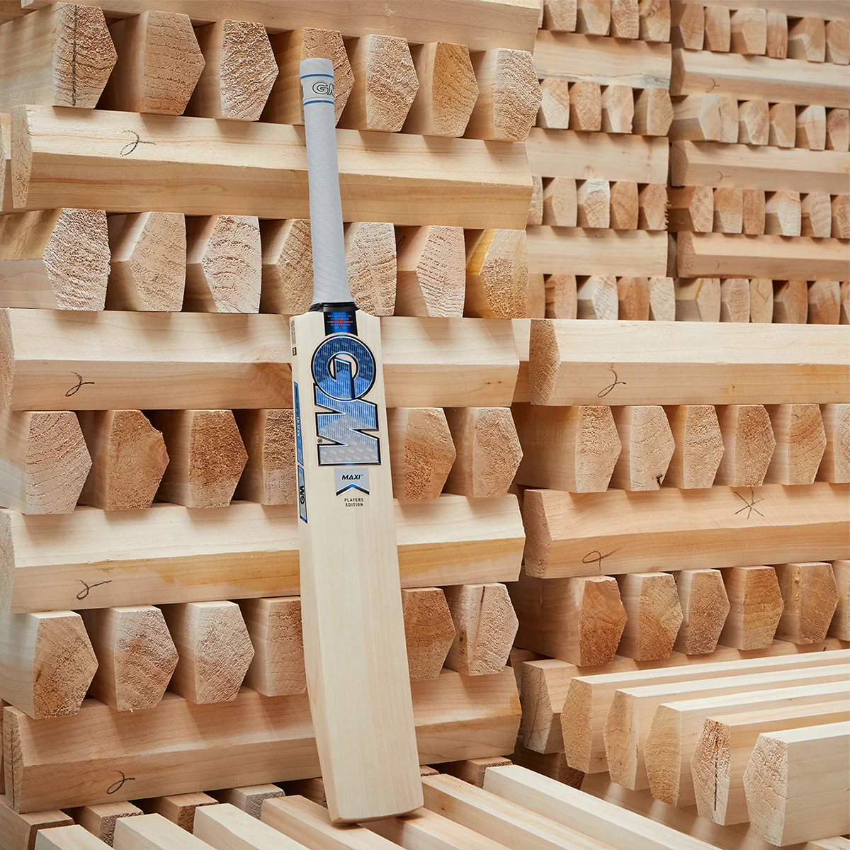 Gunn & Moore Jacob Bethell Players Edition Cricket Bat - Image 2