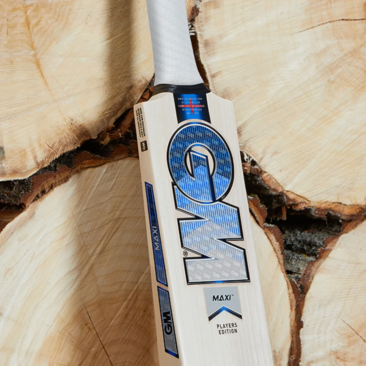 Gunn & Moore Jacob Bethell Players Edition Cricket Bat - Image 9